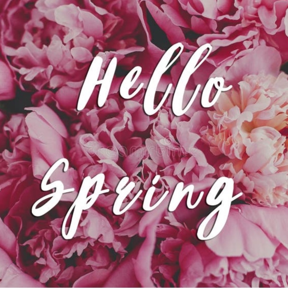 🌸🌸Hello Spring!🌸🌸 - Picture 5 of 6